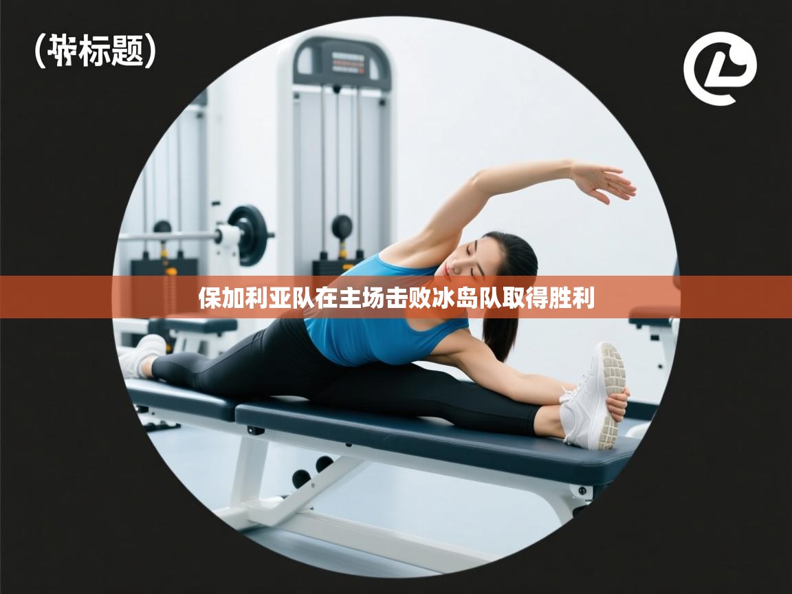 保加利亚队在主场击败冰岛队取得胜利  第2张